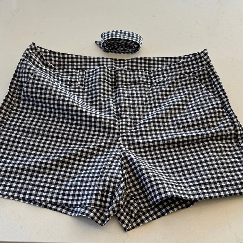 Old Navy Gingham Women's High Waist Shorts with matching tie.  Size: 12